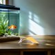 thumbnail image 1 of MERRYHAPY 10Ud Hoja Acuario Para Descanso Y De Betta, 1 of 8