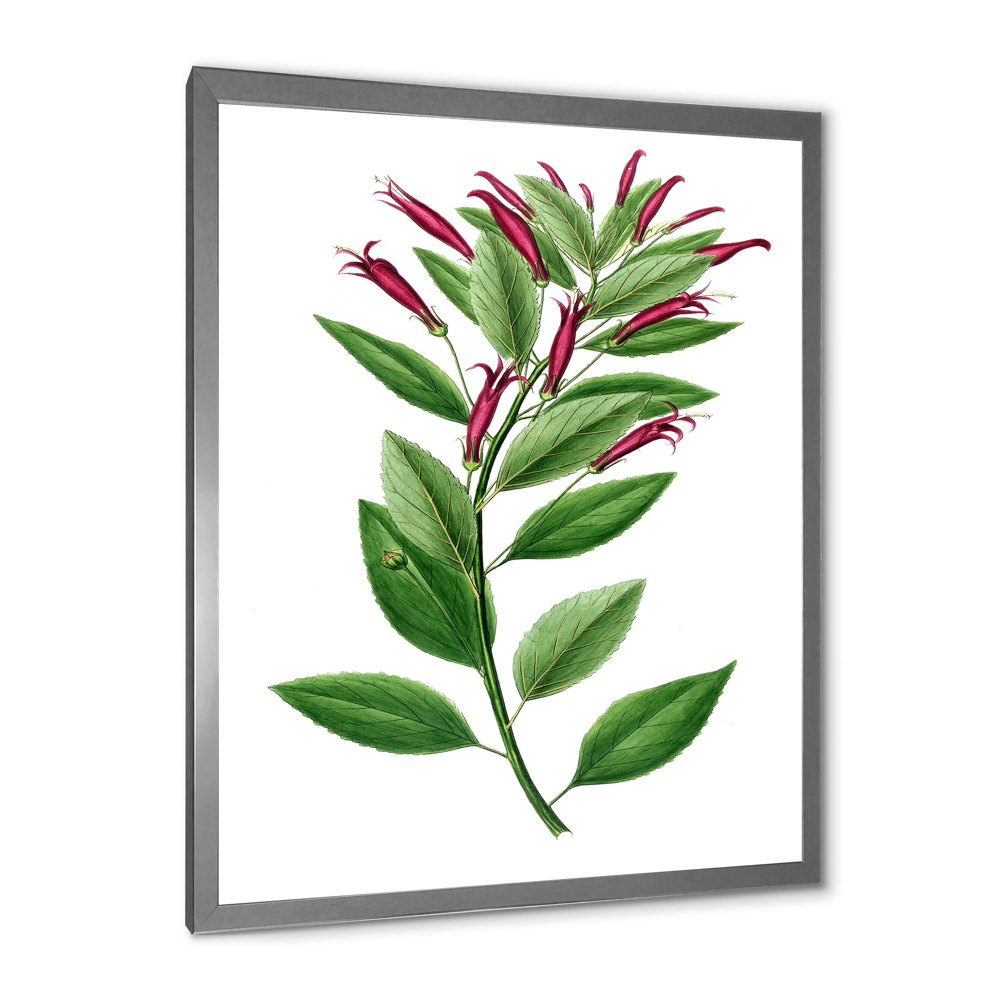 Designart 'Ancient American Flora V' Traditional Framed Art Print