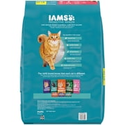 IAMS Proactive Health Indoor Adult Cat Food with Salmon for Weight & Hairball Care, 22 lb