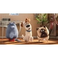 thumbnail image 3 of The Secret Life of Pets (4K Ultra HD, Blu-ray), 3 of 5