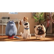 The Secret Life of Pets (4K Ultra HD, Blu-ray)
