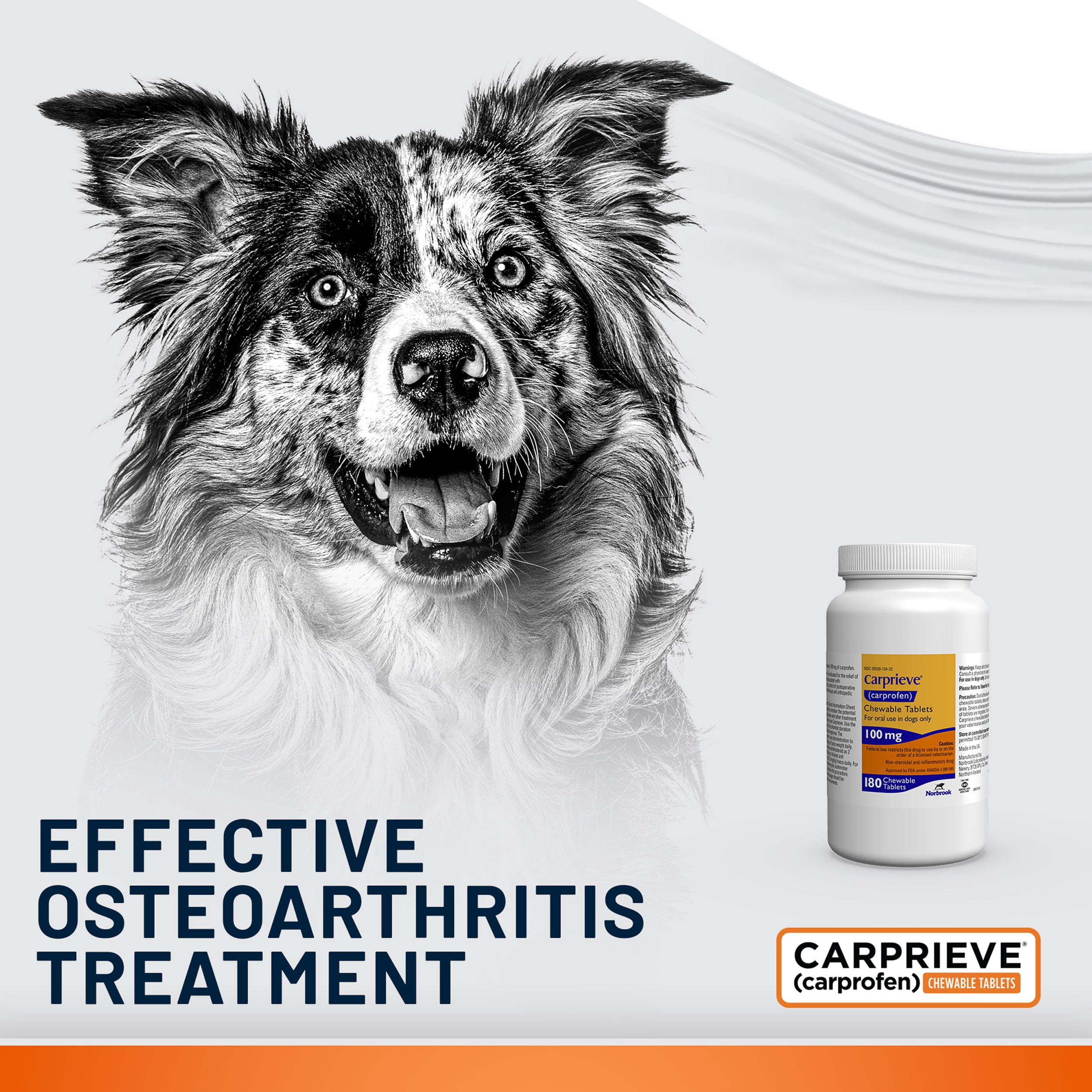 Carprieve® (Carprofen) Chewable Tablets for Dogs, 100 mg