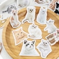 thumbnail image 3 of Cat Stickers, Copperplate Paper Decorative Sticker  for Home Little White Cat, 3 of 7