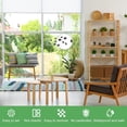 thumbnail image 6 of Upgraded Version 80 Pack Clear Window Sticky Fly Traps, Non-Toxic Fly Paper Catch Houseflies Fruit Flies Gnats for Indoor Household Pest Control, 6 of 7