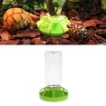 thumbnail image 2 of Gieenan Reptile Feeder Container Reptile Food Dish Water Bowl Automatic Drinker Bowl for Lizard Gecko Chameleon Snakes Turtles, 2 of 10