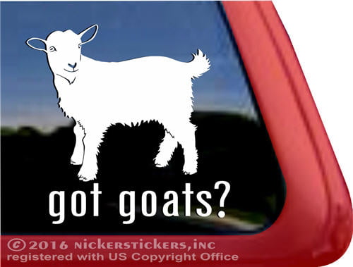 New Goat Face Car/Van Permit Holder/Tax Disc Gift GOAT-3T