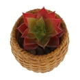 thumbnail image 2 of Adorno Hogar Artificial Flor Sunnimix Planta artificial Roja 7cm, 2 of 6
