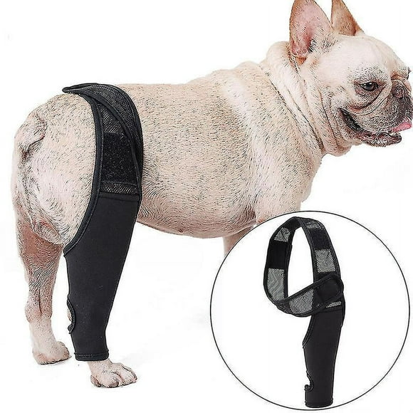 Adjustable Dog Knee Brace for ACL, Knee Dislocation, Arthritis - Provides Extra Support, Reduces Pain and Inflammation - Keeps Joints Warm