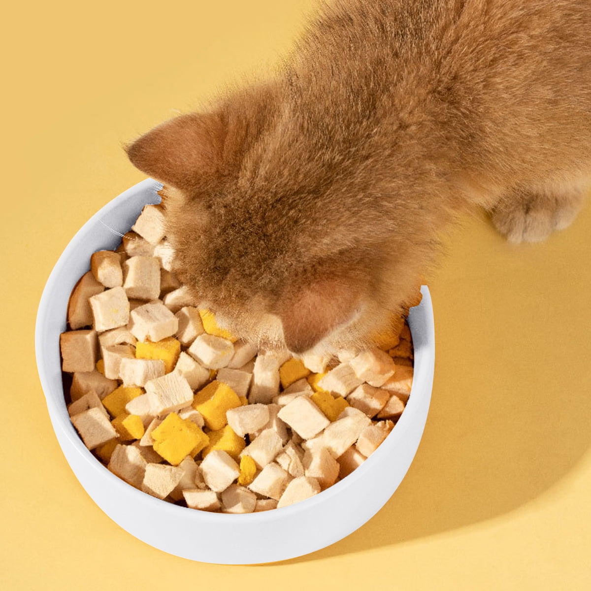 Ceramics Pet Bowl Dog Food Bowl Cat Dish Large Dog Water Bowl Protect Cervical Spine, Diameter 20cm