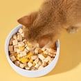 thumbnail image 5 of Cuenco de cerámica Laklulu para mascotas, cuenco para comida para perros y gatos, cuenco grande para agua y perros, protege la columna cervical, diámetro 20 cm, 5 of 5