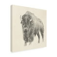 thumbnail image 2 of Trademark Fine Art 'Western Bison Study' Canvas Art by Ethan Harper, 2 of 4