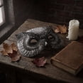 thumbnail image 5 of Mystical Owl Mask for Halloween Carnival Party Costume Prop Realistic Bird Animal Face Mask for Adults Cosplay Masquerade Accessories Forest Theme Mask, 5 of 5