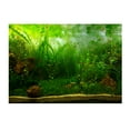 thumbnail image 1 of DOLITY PVC Aquarium Background Poster, Tank Plants Landscape Waterproof 61x30cm, 1 of 9
