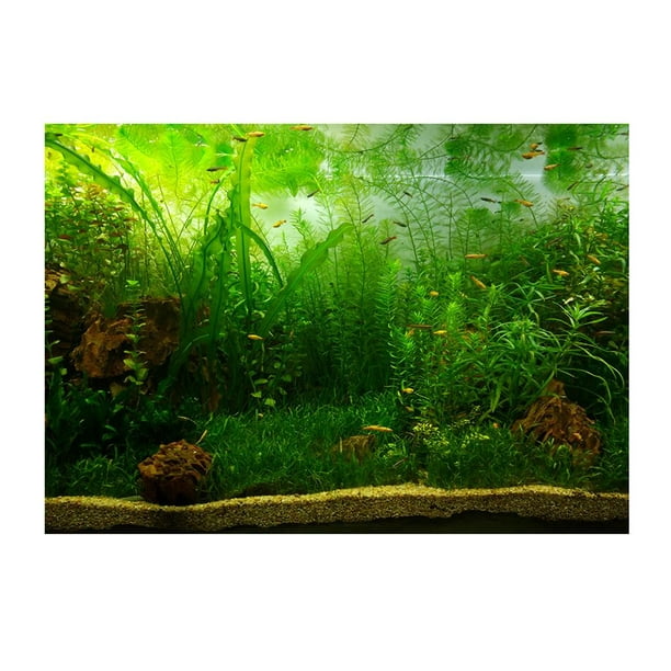 Aquarium Background Tank Backdrop Static Cling Wallpaper Plants 61x30cm 