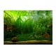 thumbnail image 1 of Póster de Fondo de Acuario Gloria Paisaje de Plantas Impermeable 61x30cm Vinilo Decorativo Pecera, 1 of 9