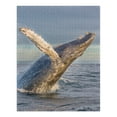 thumbnail image 2 of Humpback Whale Breaching (1000 Piece Puzzle, Size 19x27, Challenging Jigsaw Puzzle for Adults and Family, Made in USA), 2 of 4