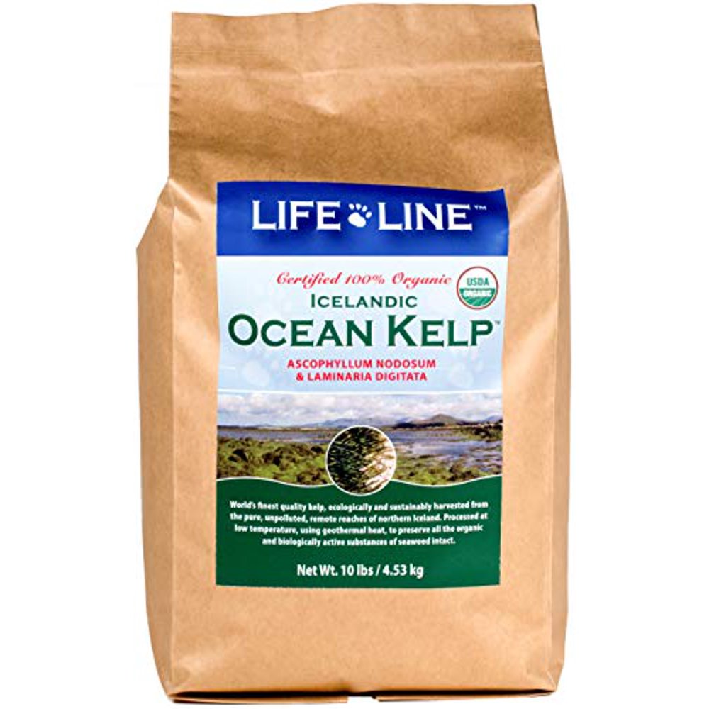Life Line Pet Nutrition Organic Ocean Kelp Supplement for Skin & Coat, Digestion in Dogs & Cats