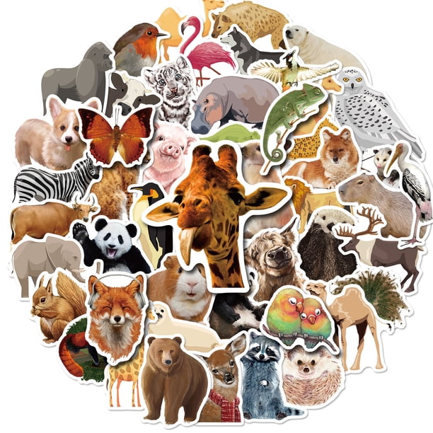 Calcomanías de vinilo impermeables con animales de zoológico, 50 unidades, para niños