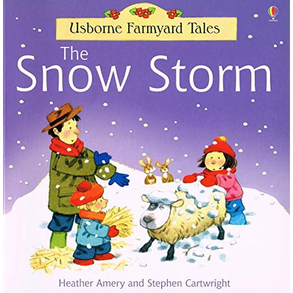 Pre-Owned The Snow Storm, 9780746061954, 0746061951, Paperback,