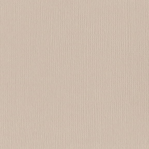 Bazzill Mono Cardstock 12"X12"-Twig/Canvas