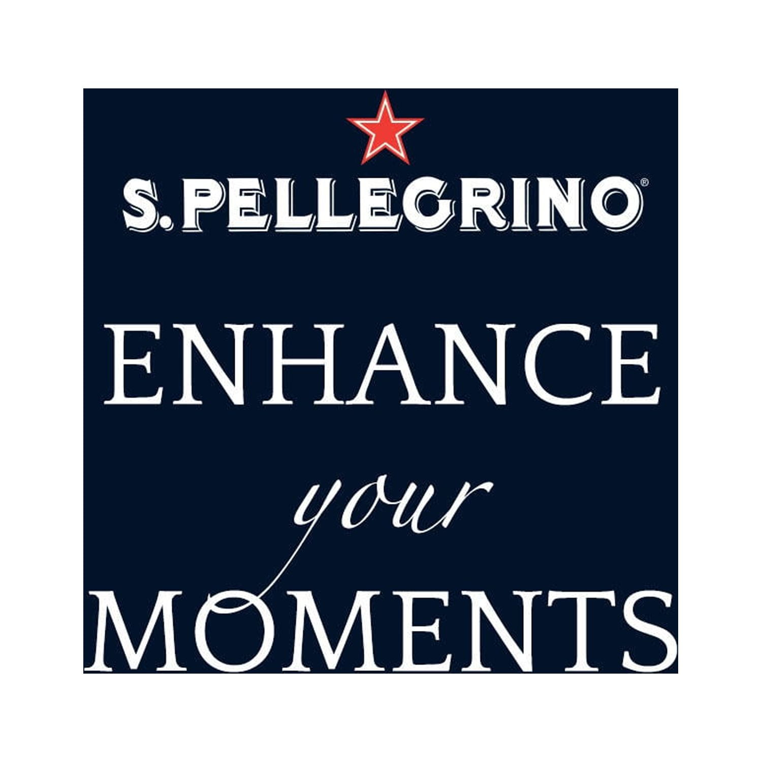 S.Pellegrino Sparkling Natural Mineral Water (16.9 fl. oz., 24 pk.)