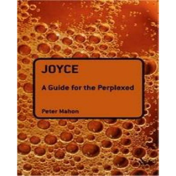 Joyce: un Guide pour les Perplexes
