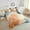 Beige Orange, variante sur YST Ensemble de Literie Hawaïen Tropical Simple Palmiers Monstera Feuilles de Bananier Ensemble de Couette Or Vert Plante Botanique Literie Ensembles de Couette pour Enfants Adultes Été Jungle Courtepointe Déco de Chambre Hawaii