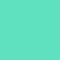 thumbnail image 2 of Siser EasyWeed Stretch HTV Vinyl 11.8"X36" Roll-Sweet Mint, 2 of 2