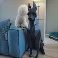 thumbnail image 4 of ShenMo 1pcs Doberman DIY Kit 68cm Modèle Animal Abstrait Décor à la Maison 3D Origami Papier Trophée 3D Puzzle Papier Sculpture, 4 of 5