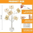 thumbnail image 4 of Money Tree Gift Holder, Gift Card Tree 2FT 24LED, Lighted Birch Trees Battery/USB Powered Timer Photo Display with 12 Clear Clips and 12 Cards for Home Christmas Halloween Picture Memo 2 Pack, 4 of 8
