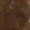 Brown, variant on Avec Les Filles womens  Vintage Floral Barrel Leg Jean, 25, Brown