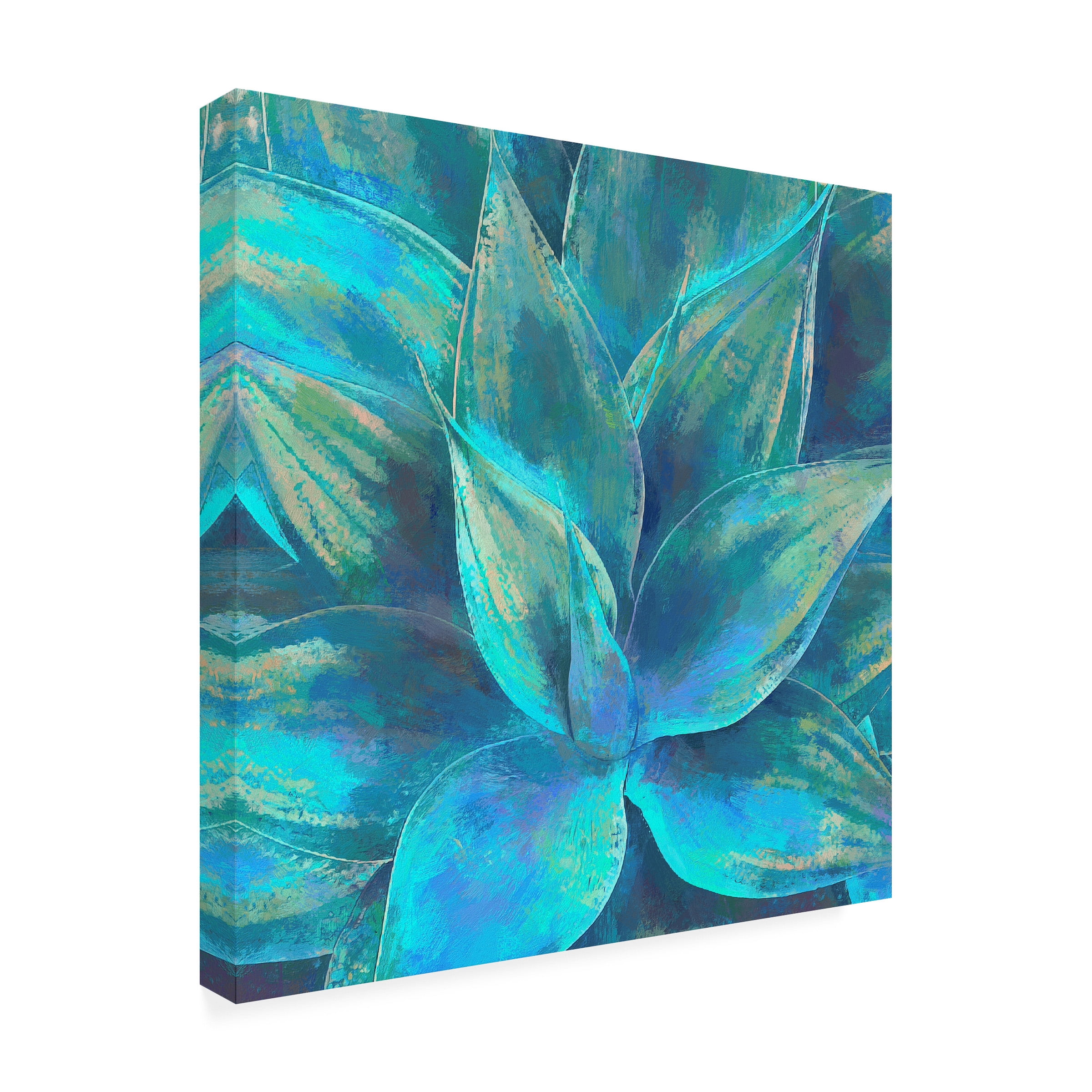 Cora Niele 'Agave Forms III' Canvas Art