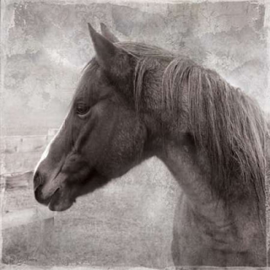 Vintage View II Canvas Art - Carol Robinson ()