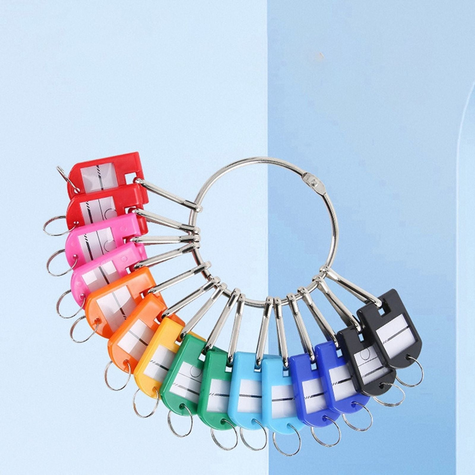 Portable Metal Ring Key Organizer with 90 Spring Hooks & Key Tags with Ring and Label Window