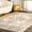 Gold, variant on nuLOOM Jodee Vintage Medallion Area Rug, 5', Round, Jodee Silver