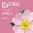 thumbnail image 5 of De La Cruz Rosehip Oil for Face Aceite De Rosa Mosqueta Anti-Aging Skin Moisturizer 1 Fl Oz, 5 of 8