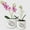 White - Palm Leaf, variant on BUYMAX 5 6 inch White Ceramic Orchid Pot with Holes, Decorative Mushroom Cutout Planters with Saucers for Orchids