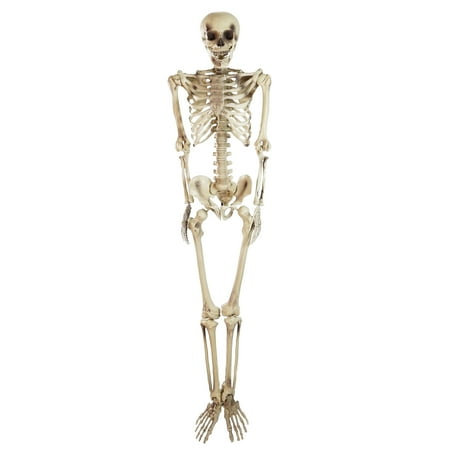 5 spooky life size skeleton indooroutdoor halloween decoration