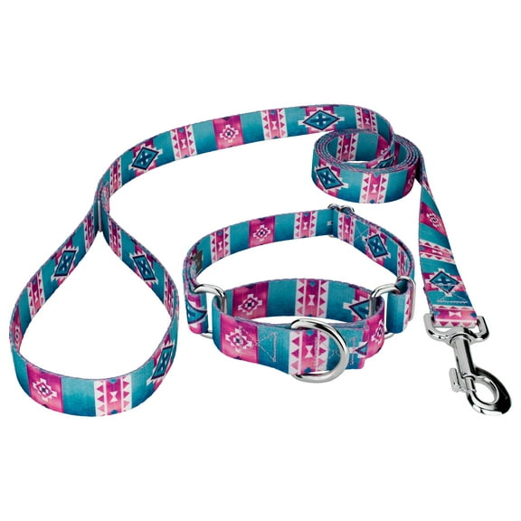 Country Brook Petz® 3/4 inch Albuquerque Martingale Dog Collar and Leash, Small