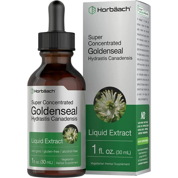 Goldenseal Root Liquid Extract | 1 oz Supplement for Men and Women | by Horbaach