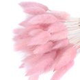 thumbnail image 1 of CAROOTU Fleurs Séchées Colorées Bouquet Éternel Fleurs Réelles pour Décoration Intérieure, 1 of 6