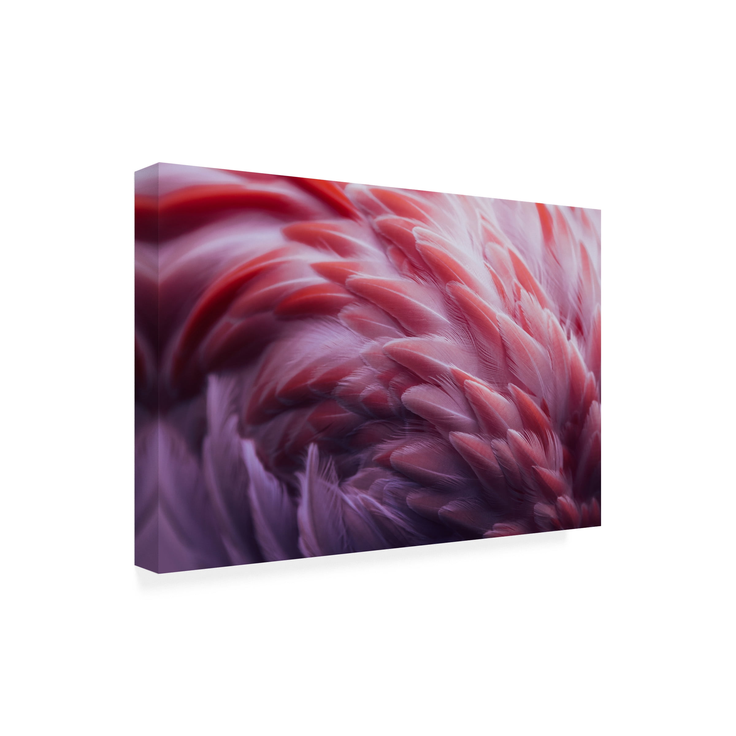 Angyalosi Beata 'Flamingo' Canvas Art