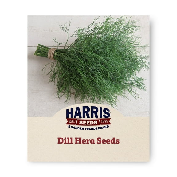 Harris Seeds 50 Hera Organic Variety Dill Plant Seeds