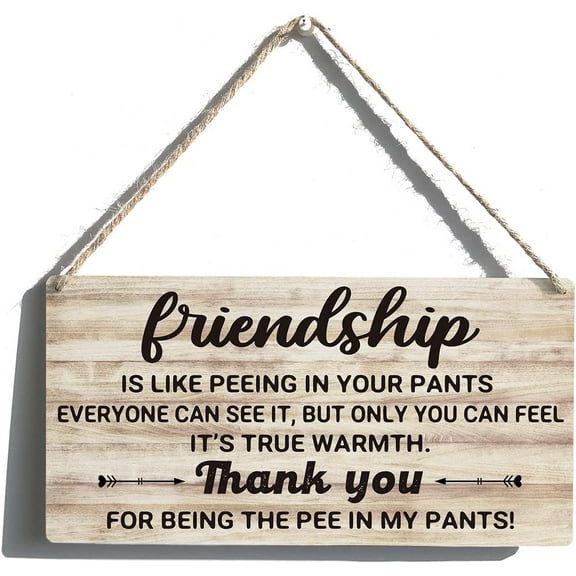 Friends Signs Gift Farmhouse Friendship is Like Peeing in Your Pants Wooden Hanging Sign Rustic Wall Art Home Bathroom Decoration 5x10 Inch