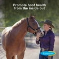 thumbnail image 2 of Farnam Horseshoer's Secret Hoof Supplement - Promotes Healthy Hoof Growth - 11 lbs, 30 Day Supply, 2 of 3