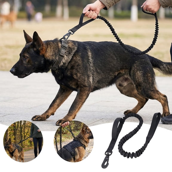 Heavy Duty Dog Leash, Bungee Shock Absorbing Rope for Medium Large Dogs, Comfortable Padded Handle for Running Hiking Training