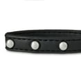 thumbnail image 2 of Vibrant Life Studded Leather Fashion Dog Collar, Black, Extra Small, 2 of 10