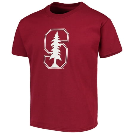 Stanford Cardinal Russell Athletic Youth Oversized Graphic Crew Neck T-Shirt - Cardinal