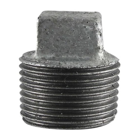 STZ 351 P-212 2.5 in. Galvanized Plug