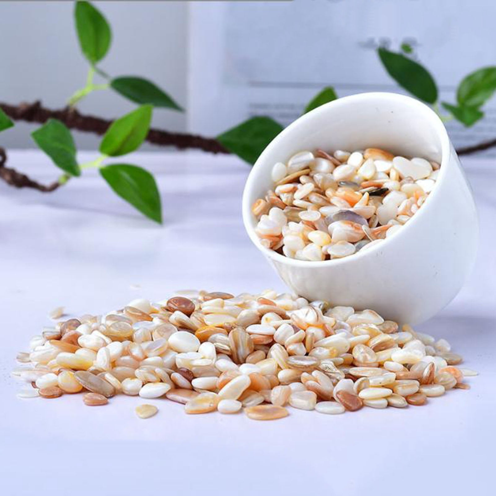 Natural Shell Gravel Pebbles,1.1lb Decorative Aquarium Gravel Pebble River Rock Stones for Vase Filler, Plant Pots, Landscaping, Aquariums, Home and Garden